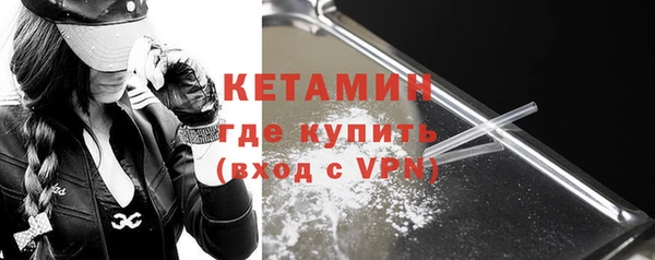 индика Киреевск