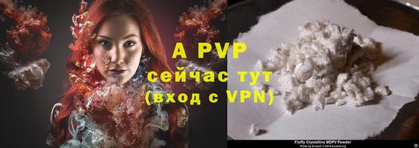 сатива Киренск