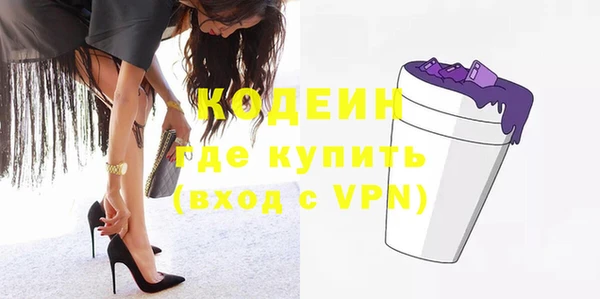 индика Киреевск