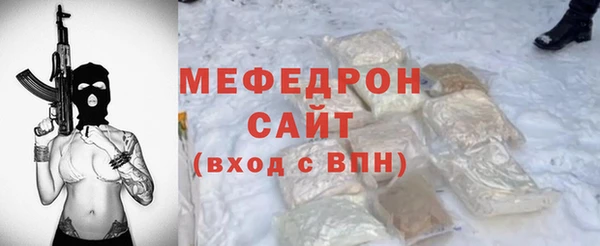 индика Киреевск