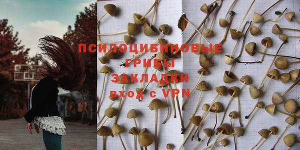 индика Киреевск