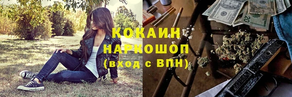 сатива Киренск