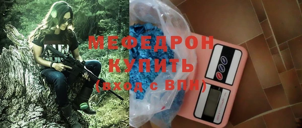 индика Киреевск