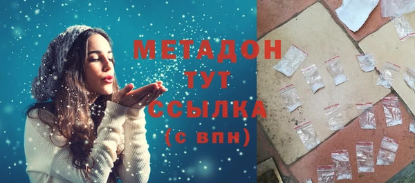 индика Киреевск