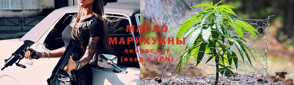 индика Киреевск