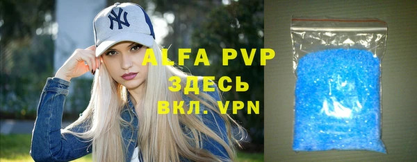 индика Киреевск