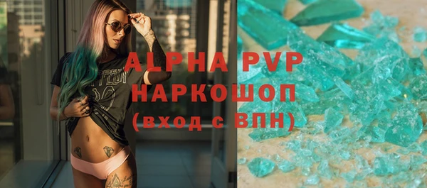 индика Киреевск